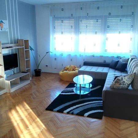 Apartment Premija Vrdnik Eksteriør billede